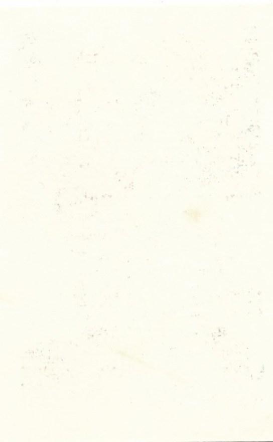 Paul - Beatlaes 1b